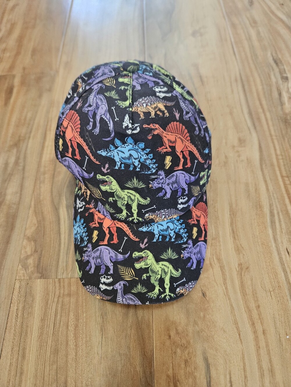 Kids Dinosaur Print Black Baseball Cap - Multicolor Dino Pattern